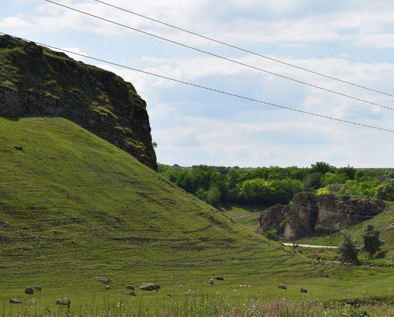 Nature Reserve "Pădurea Domnească", Moldova